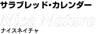 サラブレッドカレンダーナイスネイチャ